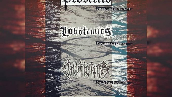 OCTUPUSS190608