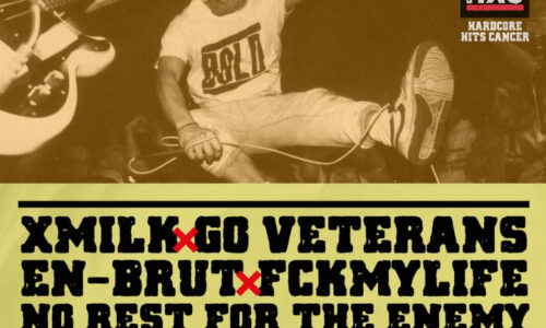 NEVER BACK DOWN- HARDCORE FEST VOL.1